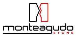 logo monteagudo