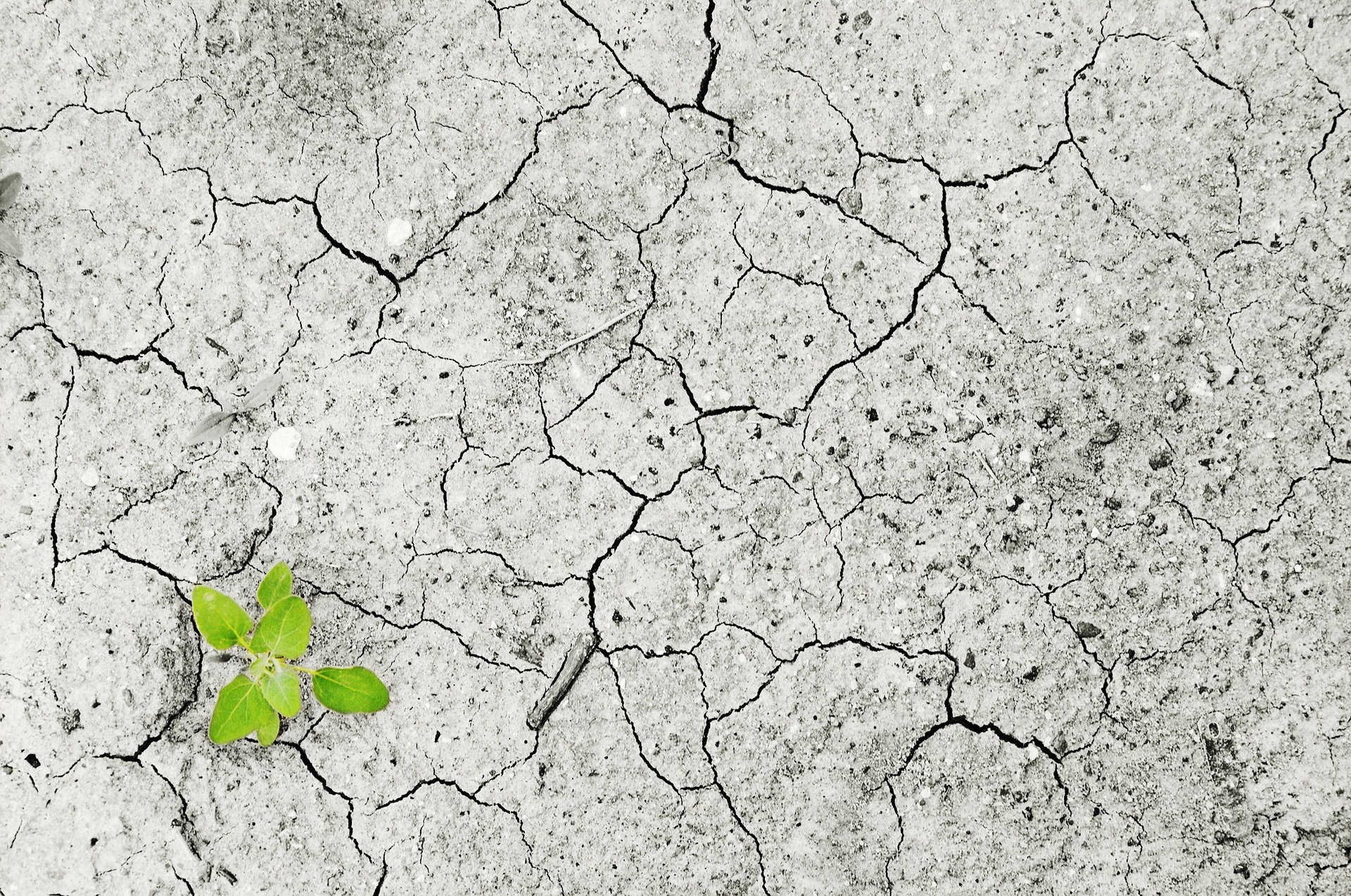 Master Program | Sustentabilidade e Alterações Climáticas