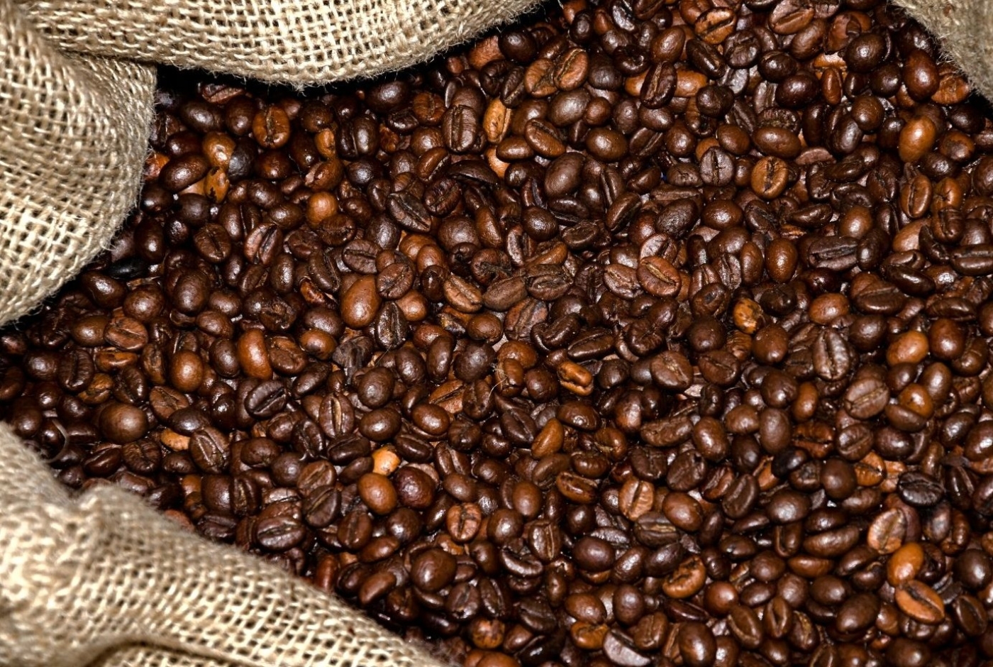Certificación Rainforest Alliance: trazabilidad y sostenibilidad desde el origen