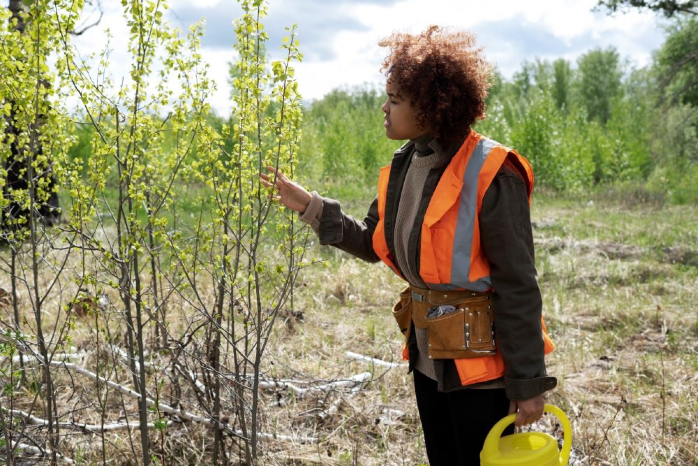 A APCER Brasil para reforçar a equipa de auditores de Gestão Florestal, procura auditores de FSC® Forest Management