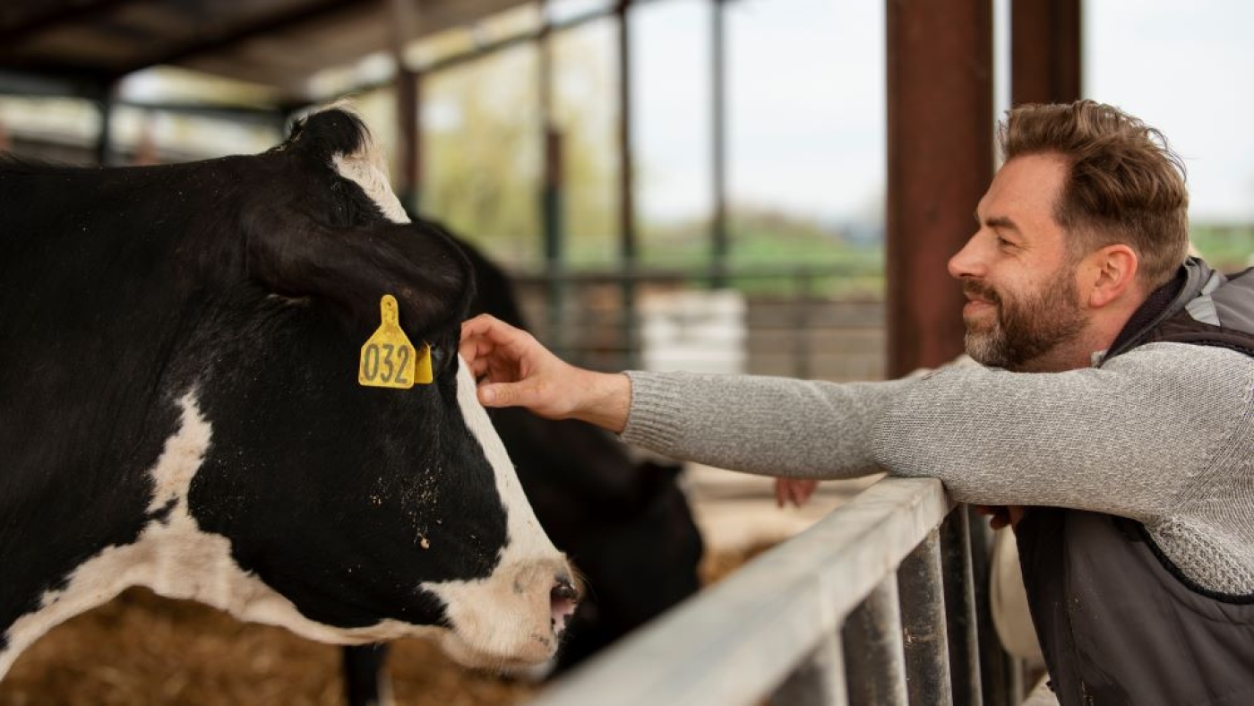 Bienestar Animal: Transparencia y Calidad en la Producción Agroalimentaria