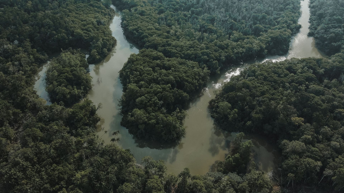 APCER Brasil marca presença na COP30, reforçando o compromisso com a sustentabilidade global