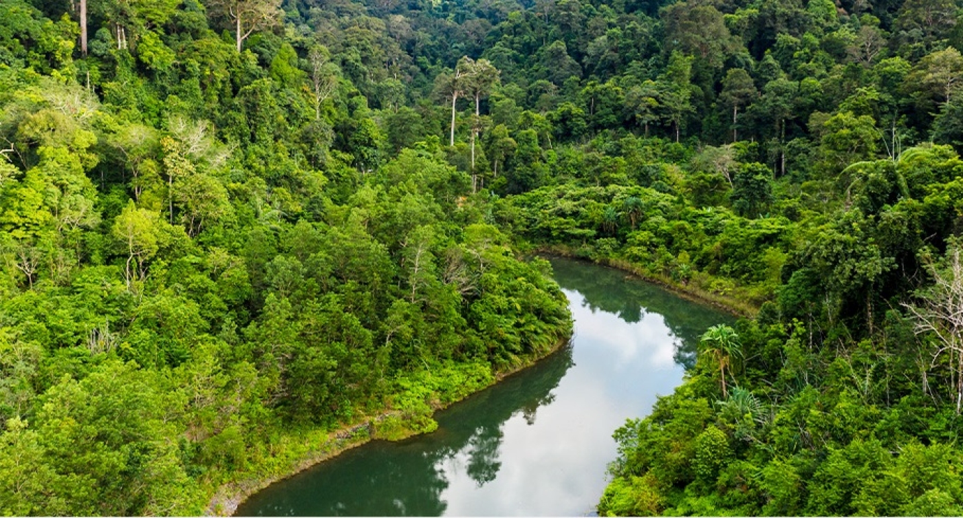 From commitment to action: FSC® EUDR with APCER